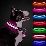 ETACCU Collare per Cani LED, Collare per Cani Regolabile con 3 Modalità e 7 Colori, Collare Luminoso Impermeabile Ricaricabile USB, Collari Standard per Animali Domestici (Grande (50-65 cm), Rosa)