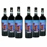 Brumale Vino Rosso Montepulciano d'Abruzzo, Vino Pieno e Intenso con Aromi di Frutta Tropicale, 12% Vol, Confezione con 6 Bottiglie da 750 ml