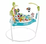 Fisher-Price- Jumperoo Centro Attività Cuccioli & Colori con Luci e Suoni, Stimola Sviluppo Capacità Motorie e Sensoriali, Giocattolo per Bambini 6-12 Mesi, GWD42