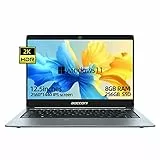 PC Portatile 12.5 Pollici Windows 11, Intel Celeron N4100 Quad Core 8GB RAM+256GB SSD, 2K 2560 * 1440 LCD Sharp, Impronta digitale, Tastiera retroilluminata, sottile e leggero Laptop Notebook, Grigio