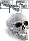 Carnival Toys Teschio Scheletro C/Mandibola Mobile H Set Party E Carnevale 925