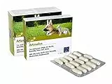 Camon artosalus mangime complementare per cani e gatti. Confezione da 60 compresse