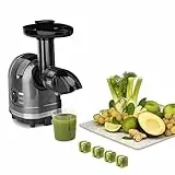 H.Koenig HSX16 Estrattore di succo orizzontale, Spremitura lenta e leggera, design moderno, per spazi non ingombranti, 1,1L 150W
