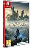 Warner Bros. Hogwarts Legacy, Nintendo Switch