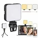 Luce per Videoconferenza, Zoom Ring Light, Luce ad Anello per Webcam & Computer/Laptop Portatile, ​Luce per Selfie con Stativo Treppiede & Clip per Tik Tok, Telefono, Fotografia, Youtube