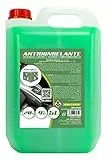 MOTORKIT Antigelo/Refrigerante Motore MTK 20%, -9°C, Verde, 5 Litri