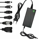 LUFEIS Caricatore Universale Monopattino Elettrico, 42V 2A Caricabatteria per Scooter Elettrico, con 6 Connettori, per Xiaomi Scooter,36V Hoverboard,Bici Equilibrata,Drifting Board