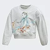 adidas LG Dy Fro Sweat, Felpa Unisex Bimbi, Brgrcl/Agufue, 3XL