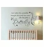 Homemay PVC Wall Stickers English Butterfly Girl camera decorazione finestra decalcomania Home DECORATIONWALLPAPER94 CM x55.9 cm, Gray, 94cm x55.9cm
