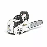 Alpina Motosega a Scoppio AC 27 T, 26.9 cc, Bianco, Lunghezza della Barra 25 cm (10”)