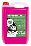 Motorkit MOT3535 Antigelo, Rosa, 5 L