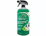 ALCOOL (spray) 70° PROFUMATO MENTA​ 750 ML (1)