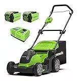 Greenworks G40LM41K2X Tagliaerba a Batteria per Prati Fino a 500m², Ampiezza di Taglio 41cm, Sacca da 50L CON Due Batterie 40V 2Ah e 1 Caricabatterie, Garanzia 3 Anni