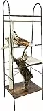 PetFusion Tiragraffi multiuso per animali domestici, tiragraffi per gatti e scaffale per libri