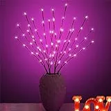 TKMARS Rami Luminosi a LED,Una Luce per Alberi Con 20 Sfere a LED,Ramoscelli Luci di Fiabe Rami di Salice Lampada per Feste,Stanze,Decorazioni per Esterni,Perfetto per Una Calda Atmosfera Natalizia