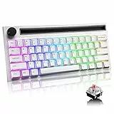 Urchoiceltd Tastiera da Gioco Meccanica al 60% Tipo C cablata/Wireless Bluetooth retroilluminazione RGB Ricaricabile 4400 mAh manopola multimediale Anti-ghosting Completo (Interruttore Rosa)