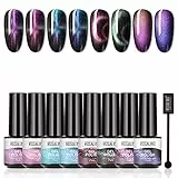 ROSALIND Smalto Semipermanente Cat Magnetico Gel Smalto per unghie gel per Gatti Chameleon Magnetico Phantom Magnetico Cat Eye Soak Off UV LED Gel Polish Mini 8pzs