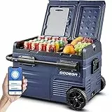 BODEGA 35 Litri Frigoriferi Portatile, Frigo Per Auto,Doppia Zona e Doppie Porte, 12/24V DC e 100-240V AC, da -20℃ a 20℃, Per Auto, Camion, Camper, Barca E Presa Di Corrente