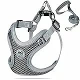 Coolzon Pettorina Cane Taglia Media per Gatto Imbracatura Traspirante Pettorina Riflettente Regolabile La Pettorina per Cani con Guinzaglio è Adatta per Corsa Passeggiate Jogging Nero（M）