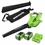 Greenworks GD40BVK2X Aspiratore Soffiatore a Batteria per Foglie, Motore Brushless, 280km/h, 9,63m³/min, Sacco di Raccolta da 45L, Due Batterie 40V 2Ah e Caricabatterie, Garanzia 3 Anni