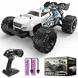 DEERC RC Auto, Monster Truck Telecomandato con 2 Batterie per 40 Minuti di Riproduzione, 2,4 GHz Fuoristrada RTR Rock Crawler Giocattolo Regalo per Ragazzi Ragazze Bambini Principianti