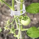 KINGLAKE 100 clip per piante, clip per pomodoro, in plastica per piante rampicanti, clip per piante, clip per fiori per verdure, pomodoro, piante, fissaggio bianco