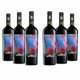 Brumale Vino Rosso Terre Siciliane IGT, Gusto Pieno e Rotondo, Profumo di ciliegia, 12% Vol, Confezione con 6 Bottiglie da 750 ml