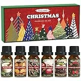 SALKING Oli Essenziali Natale per Diffusori 6x10ml, Set di Olio Essenziale Puri per Aromaterapia - Ghirlanda di Natale, mela alla cannella, pan di zenzero, bastoncini di zucchero, budino, zabaione