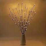 Lampada LED a forma di rami con 20 LED, luce bianca calda, rami decorativi, funzionamento a batteria, 4 pezzi