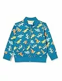 Chicco, Felpa con cappuccio e zip a maniche lunghe , Bimbo 0-24, Azzurro (925), 3 anni