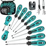 WAIZHIUA 10 Pezzi Set Cacciaviti Magnetici - Set Giraviti Professionali - PH 5 Misure e SL 5 Misure - con Organizer - per Applicazioni Quotidiane, Artigianali e Industriali