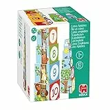 Goula- Cubes 55219-Cubi Impilabili Bosco, da 1 anno, 55219
