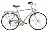 Alpina Bike Bicicletta, Grigio Ghiaia, 28 Pollici, Telaio 58 cm