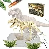 LiRiQi Kit di Scavo di Tyrannosaurus Rex, DIY Kit Scavo Dinosauri, Modello di Scheletro di Dinosauro 3D, Giocattolo Educativo, con Martello, Scalpello. Ottimo Regalo per Natale, Halloween, Compleanno