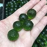COZMAX 1 pz Moldavite Naturale Ceco Meteorite Impatto Perle di Vetro Pietra Grezza Pietra di Cristallo