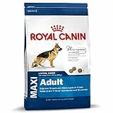 Royal Canin Maxi Alimenti per cani di taglia grande (26-45 kg) invecchiato dai 15 mesi ai 5 anni – 15 kg