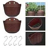 BUZIFU 2 Pezzi Vaso da Fiori Appeso a Parete Fioriera Sospesa in Resina Portavasi da Appendere Giardino Vaso da Fiori Sospeso in Resina per Interni e Esterni Balcone, con 4 Pezzi S Ganci