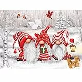 Diamond Painting Gnomi Natalizi, 5D Diamond Painting Kit Completo, Pittura Diamante Fai da Te, Pittura Diamante Strass Ricamo a Punto Croce Painting per Decorazioni Casa, Adulti, Bambini, 30 x 40 cm