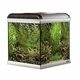 Ferplast 65205021 Acquario Star Cube, dimensioni: 67 x 62 x 67,5 cm, Capacità: 230 litri
