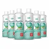 COCCOLATEVI Profumatore Bucato Muschio Bianco, 6 Confezioni da 300 ml, Essenza Bucato da utilizzare come Profumatore Bucato Lavatrice e Asciugatrice, Profumatore Casa o Detergente Pavimento