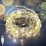 TsaoNyMa 10M 100 LED Catena Luminosa Interno Con presa USB Rame filo Ghirlanda Catena Luminose Lucine Fata Luci Per Giardino Casa Feste Albero di Natale Matrimonio Decorazioni