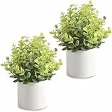 homEdge Mini eucalipto artificiale in vaso, pianta artificiale in plastica con vaso, decorazione per casa, ufficio e scrivania