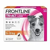 FRONTLINE Triact, 3 Pipette, Cane S (5-10Kg), Antiparassitario per Cani e Cuccioli di Lunga Durata, Protegge il Cane da Pulci, Zecche, Zanzare, Pappataci e Leishmaniosi, Antipulci 3 Pipette