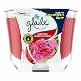 Glade (Brise) Candela profumata a lunga durata in barattolo di vetro, ciliegia & Peony, fino a 39 ore, 1 confezione (1 x 224 g)