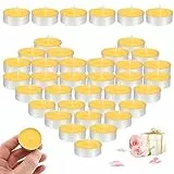 50 Tealight, Citronella, Tealight Giallo, Estratti naturali - Cera vegana - Senza olio di palma, per zanzare, Insetti e Insetti, fragranza Fresca Naturale, Ø 3,5 x 1 cm, giallo