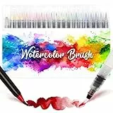 Amteker Brush Pen Lettering 24 Acquerelli Professionali + 1Testina Morbida, Pennarelli Lettering Professionali Acquerellabili, Brush Pen Set per Lettering, Calligrafia, Disegno a Colori