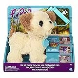 Hasbro FurReal, Pax Il Cagnolino Che Fa i bisognini, Esclusivo Amazon