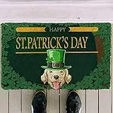 Zerbino d'ingresso Happy St Patrick Day Labrador Retriever House Rule Zerbino personalizzato Decor TappetoZerbino antiscivolo Camera da letto Portico Home Decor Regali di festa 20'x32'