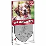 advantix spot 10-25 kg 4 pipette