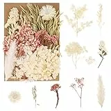 Bohoman Fiori Secchi Naturali, Veri Fiori Secchi per Resina Misti Petali e Foglie di Fiori Pressati Fiori Secchi Eterna Fiore per Fai da Te Scrapbooking Candele Decorazione